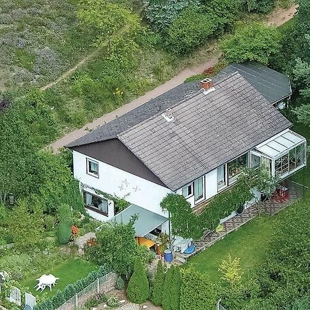 Amazing Apartment In Hinterweidenthal With Wifi Eksteriør bilde